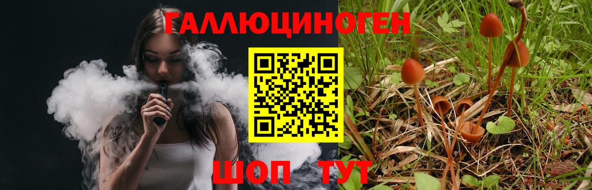 Галлюциногенные грибы Magic Shrooms Черняховск