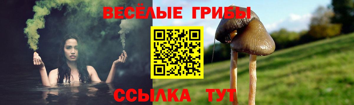 Черняховск  Галлюциногенные грибы мицелий  Вход с VPN 